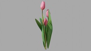 Tulips OBJ