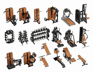 3D Gym Equipment Collection Fitness Equipment Collection model