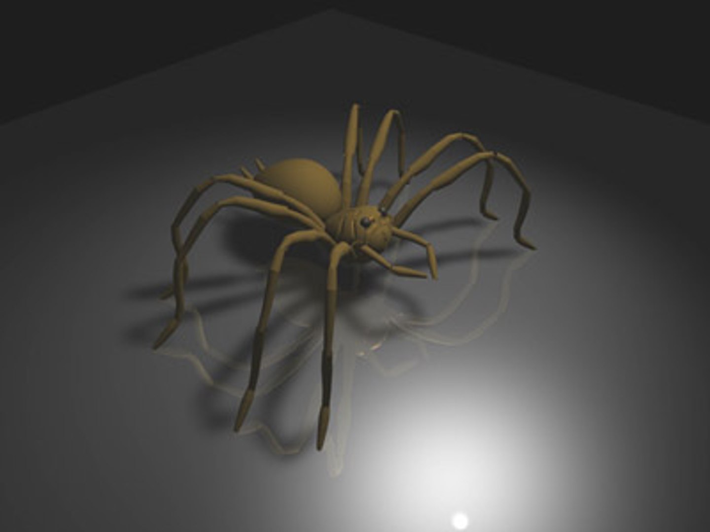 3D Spider - TurboSquid 190925