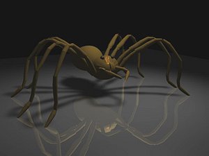 Spider.c4d