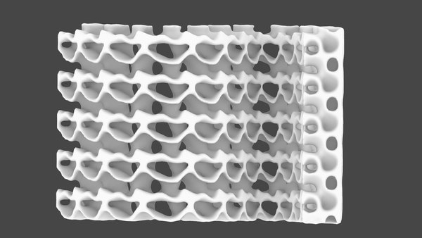 organic Lattice Wall 3D