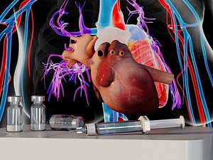 Human Heart Anatomical Model 3D model
