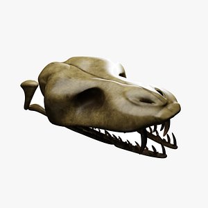 SNEAK SKULL Low-poly