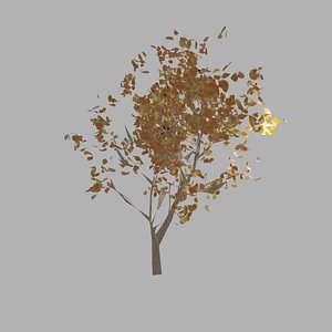 lowpoly tree 3D model