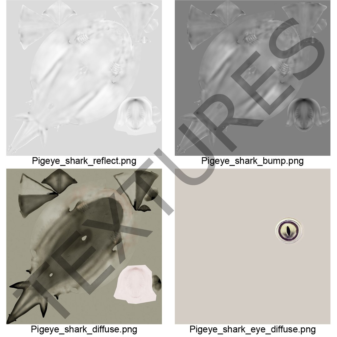 pigeye shark rigged 3d model https://p.turbosquid.com/ts-thumb/Sh/fPgi8x/IWxnzRZt/pigeyesharkrigged3dmodel38/jpg/1445674425/1920x1080/fit_q87/ae9e5012a2a19ffccb387248efc7b6068518d671/pigeyesharkrigged3dmodel38.jpg