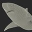 Pigeye Shark Rigged