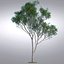 HI Realistic Series Tree - 017