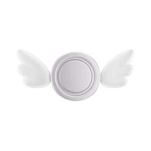 Coin Basic Wigns Icon