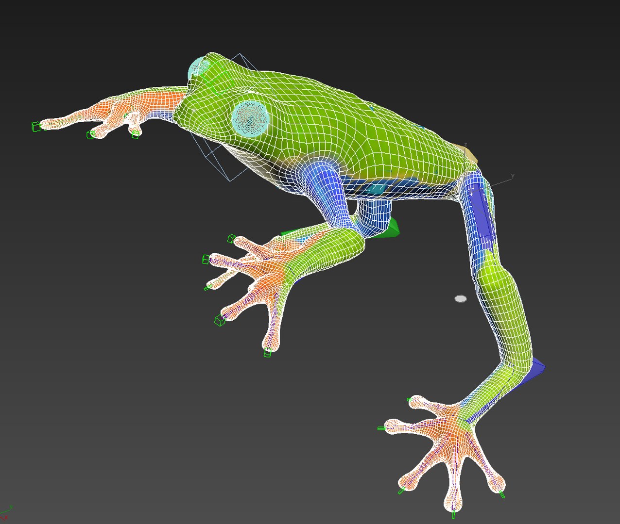 Tree Frog Max