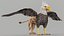 3D Gryphon Classic PBR