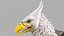 3D Gryphon Classic PBR