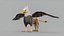 3D Gryphon Classic PBR