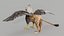 3D Gryphon Classic PBR