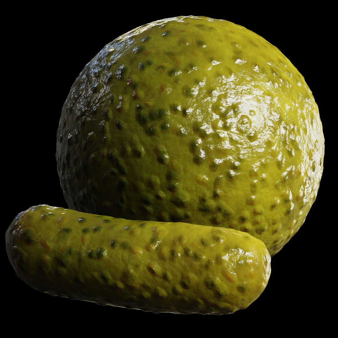 Blender Procedural Food Pack 1 model https://p.turbosquid.com/ts-thumb/Sh/nK1jWO/vH/pickle/jpg/1663691774/1920x1080/fit_q87/6c5052a1e5f8b269187a3e2639d3a3fa31c403e5/pickle.jpg
