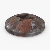 Phillips Head Screw 02 Dirty