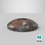 Phillips Head Screw 02 Dirty