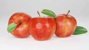 Realistic apple model