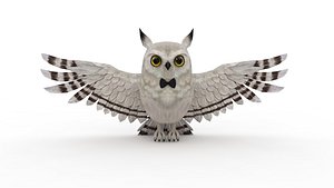White Barn Owl