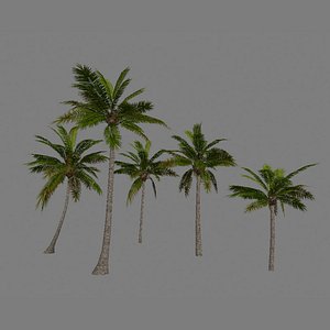 3d package palm trees model