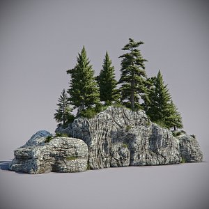 max forest rock