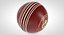 Cricket Collection