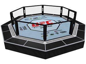 UFC octagon ring V2