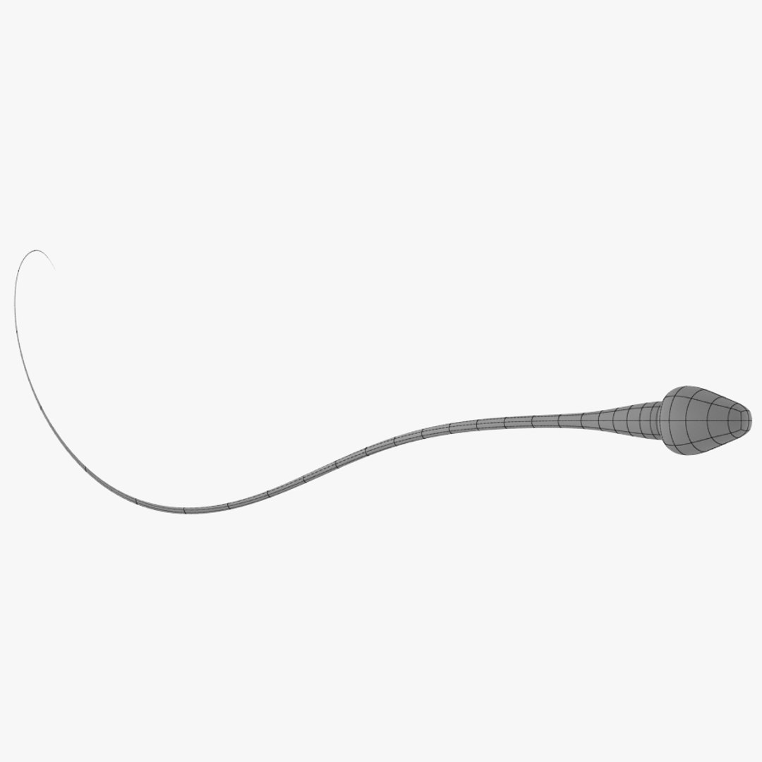 Sperm Cell 3d Max sperm-cell-3d-max