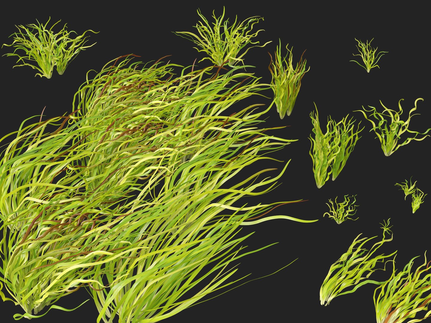 Highpoly LowPoly - Vallisneria americana - eelgrass 3D model https://p.turbosquid.com/ts-thumb/Si/ORFbeA/6y/vallisneriaamericana0112/jpg/1744971307/1920x1080/fit_q87/a9be7929702e1a42dd1357f5bb8d4cd448e7842e/vallisneriaamericana0112.jpg
