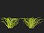 Highpoly LowPoly - Vallisneria americana - erba anguilla