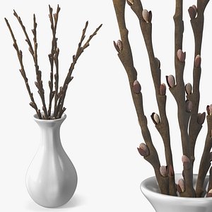 Fresh Willow Branches in Vase