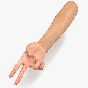 3D model Female Hand 2 Rigged for Cinema 4D