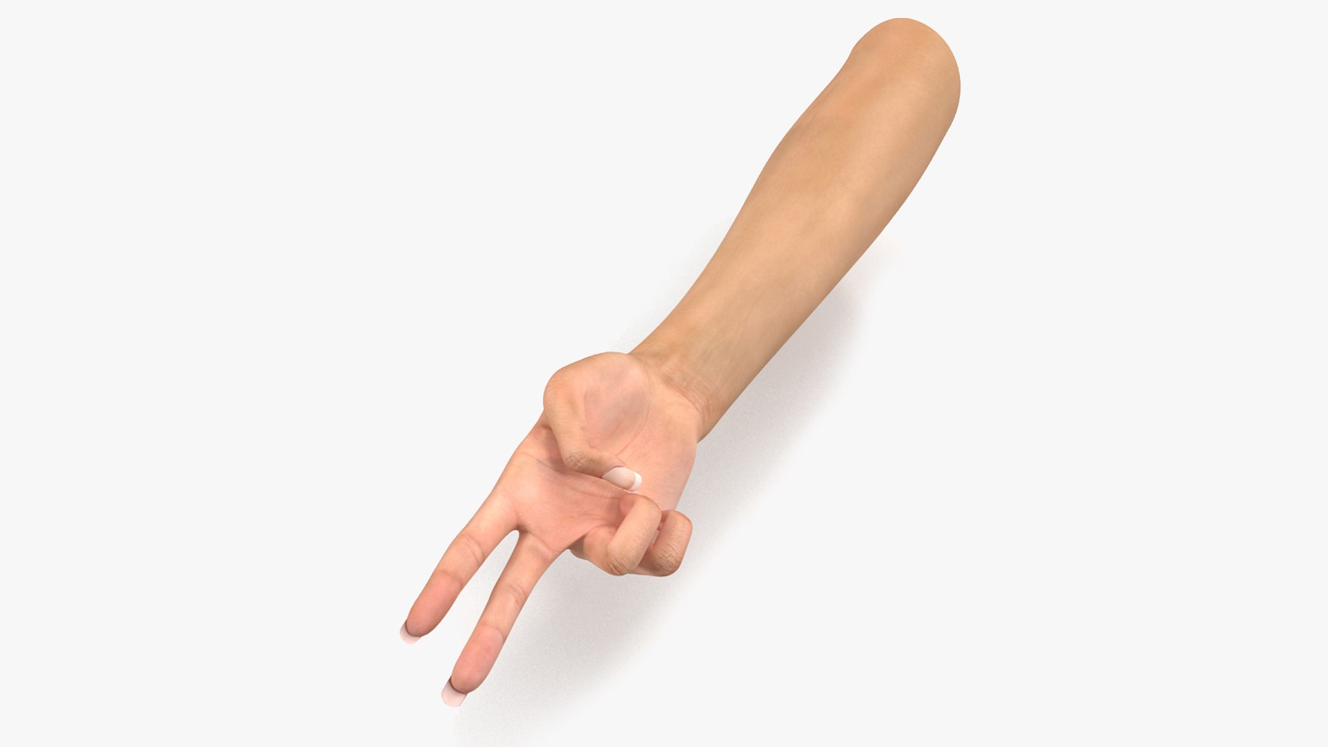 Female Hand 2 Rigged for Cinema 4D 3D model preview