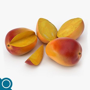 max mango fruit