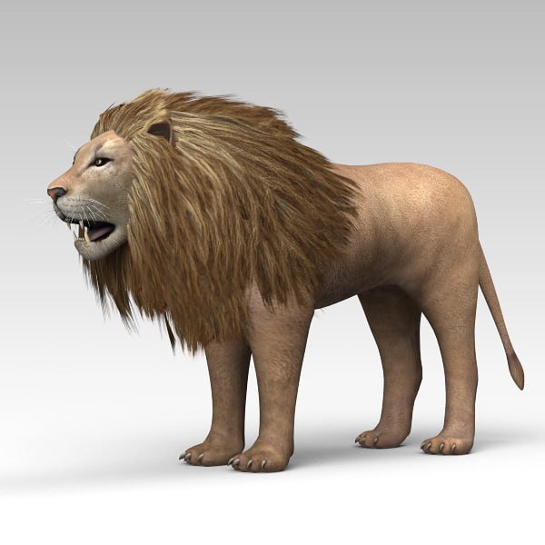 3D lion animal model - TurboSquid 1406085