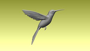 colibri humming bird 3D model