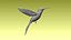 colibri humming bird
