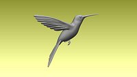 colibri humming bird