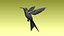 colibri humming bird
