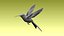 colibri humming bird