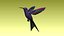 colibri humming bird