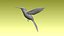colibri humming bird