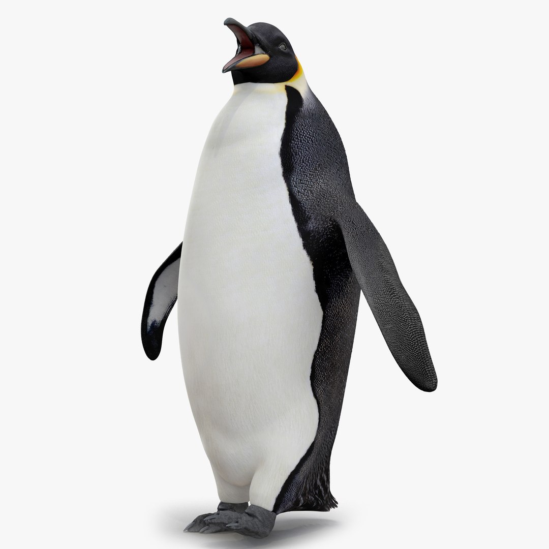 Emperor Penguin Rigged 3D model preview
