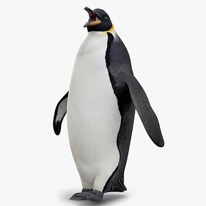 3d emperor penguin rigged