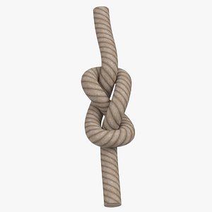 Figure 8 knot 3D