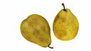 Pear Yellow