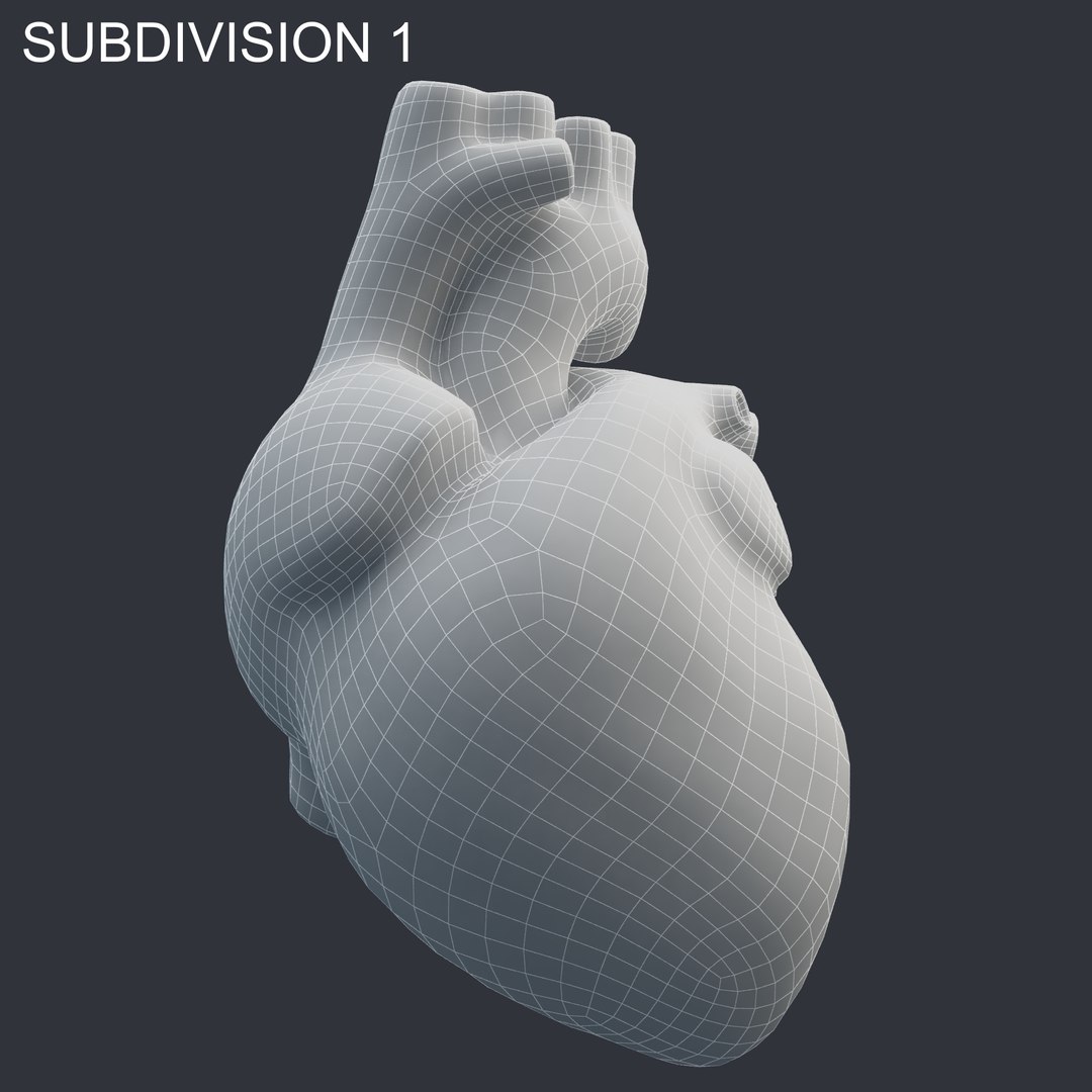 Human heart animation 3D model - TurboSquid 1298711
