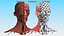 3D Female Anatomy Head