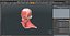 3D Female Anatomy Head