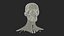 3D Female Anatomy Head