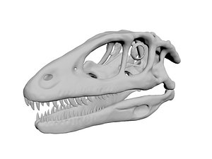 3D skull deinonychus